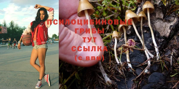 мяу мяу мука Кодинск