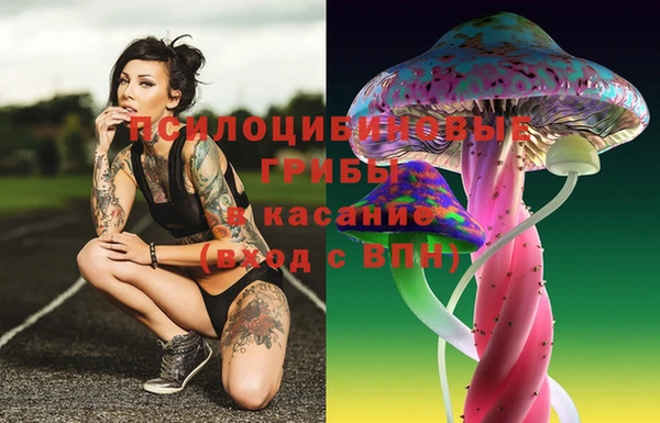 мяу мяу мука Кодинск