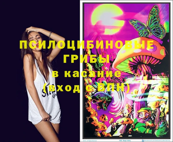 мяу мяу мука Кодинск