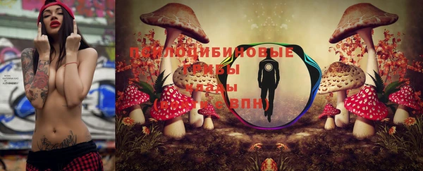 мяу мяу мука Кодинск
