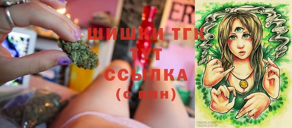 прущий лед Козельск