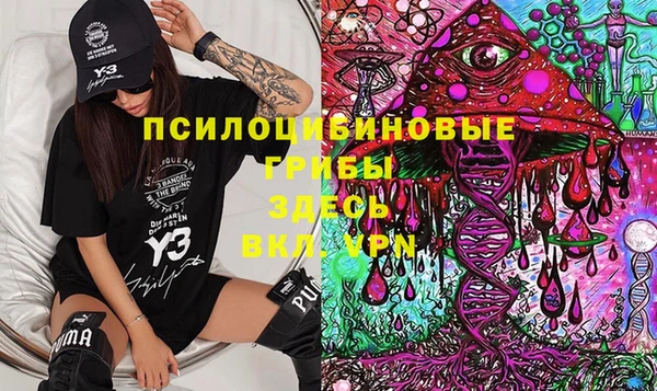 прущая мука Козловка