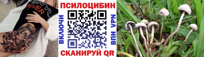 Купить  Лысково  Галлюциногенные грибы мицелий 