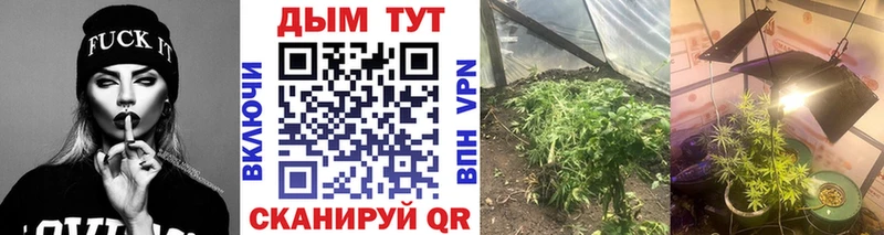 Бошки марихуана VHQ  Купить где  Лысково 